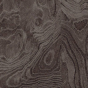 Wood Texture 9